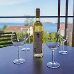 Cameleon Orebic- Beachfront Apartment Orebic